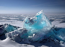 彻底玩嗨了！爱德华兹在观众席上“夺过”麦克风 客串解说与教练